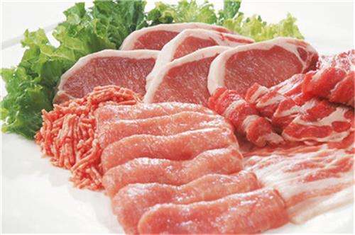 肉類水分測(cè)定儀